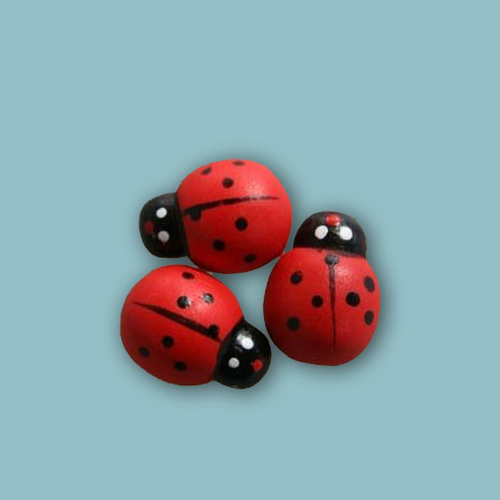 Plakdeco Grote Ladybug - Kadopapier.net